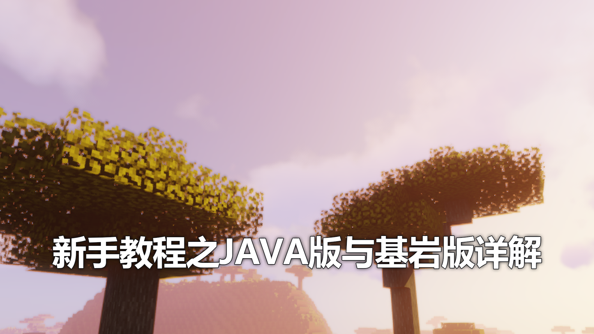 新手教程之JAVA版与基岩版详解