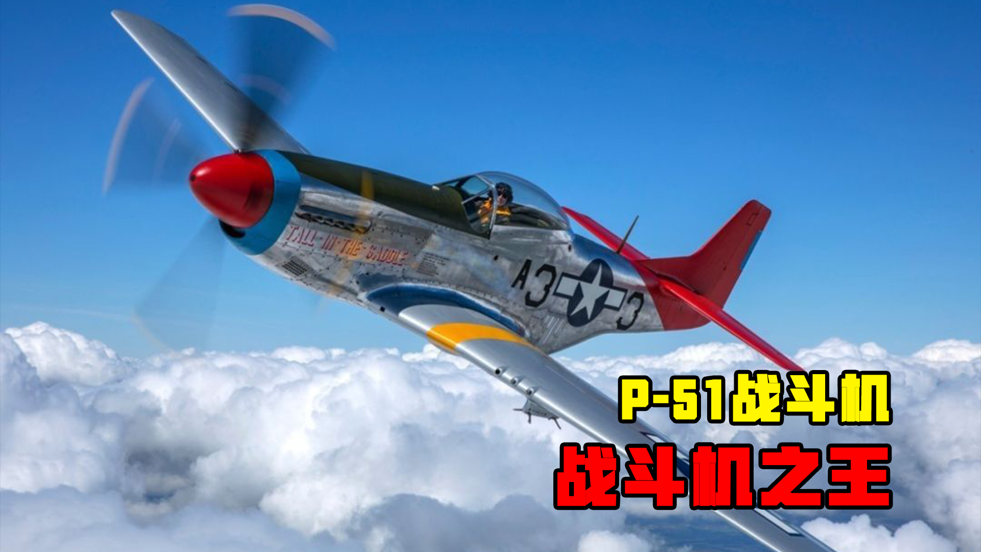 P-51战斗机之王