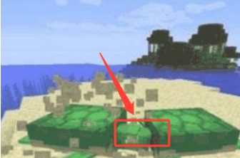 Mc如何催生海龟蛋 Lu18玩吧