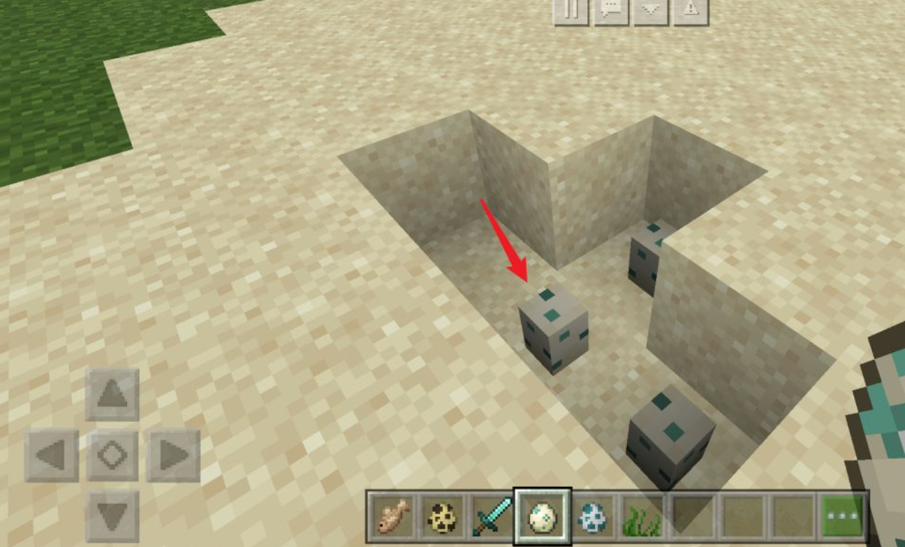 我的世界海龟蛋为什么不孵化 Lu18玩吧