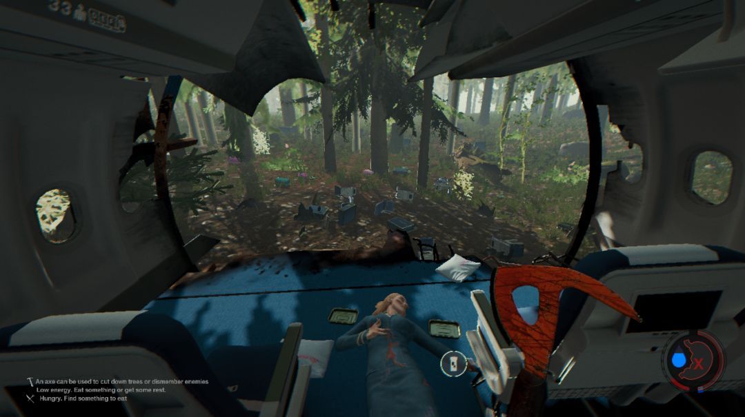 the forest多少g？