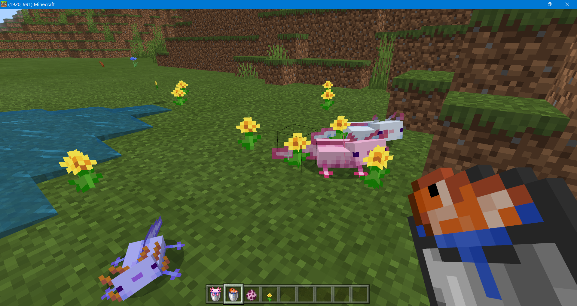 我的世界1 17美西螈吃什么 Lu18玩吧