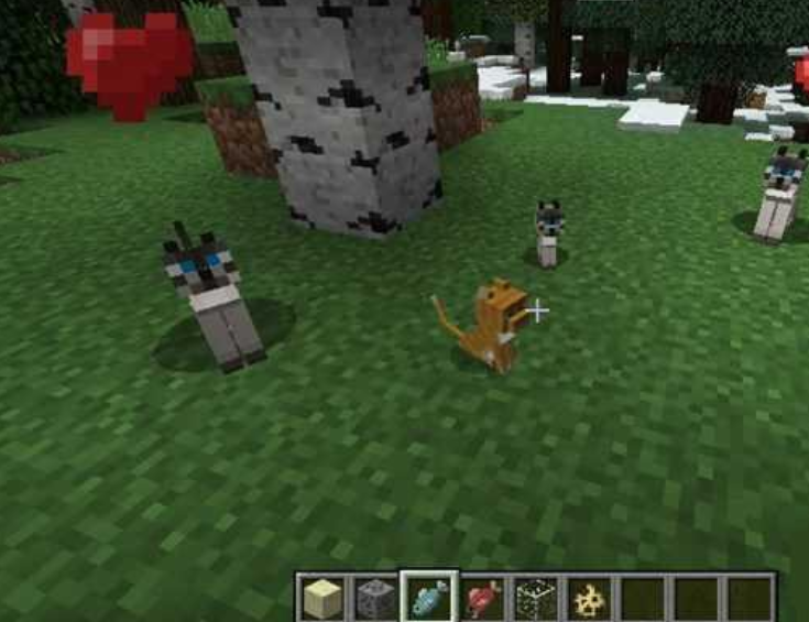 我的世界猫吃什么 Lu18玩吧